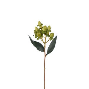  Hypericum bærkvist 28 cm grøn