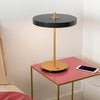 Asteria table Bordlampe Ø31 cm  Anthrachite Grey