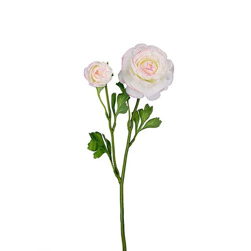 Ranunkel afskåret blomst 45 cm flerfarvet